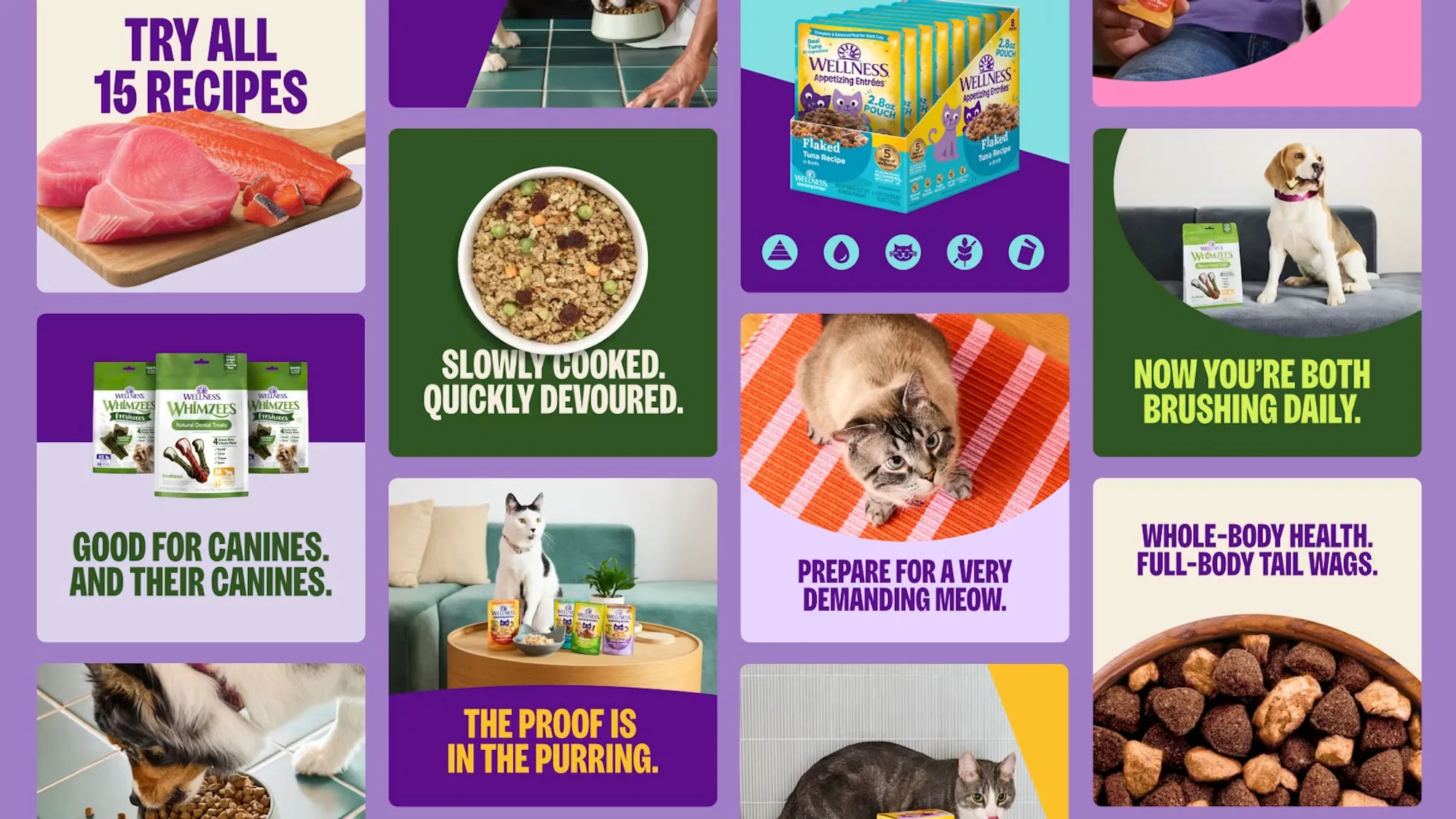 Wellness Pet Co – COGNAK