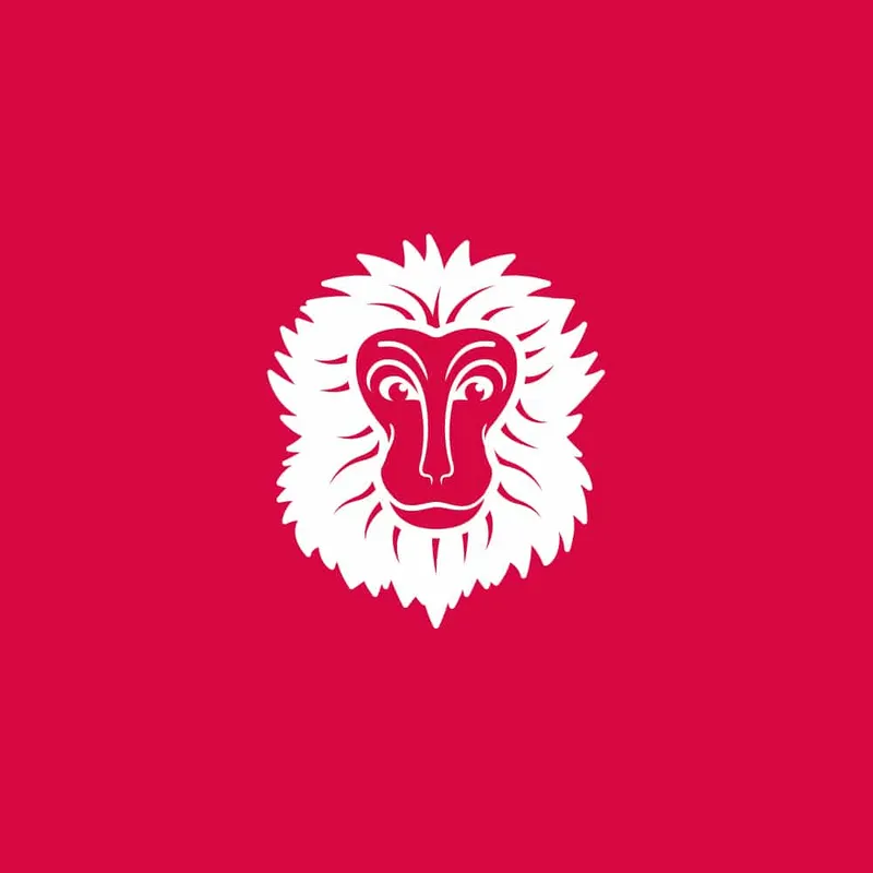 Snow Monkey