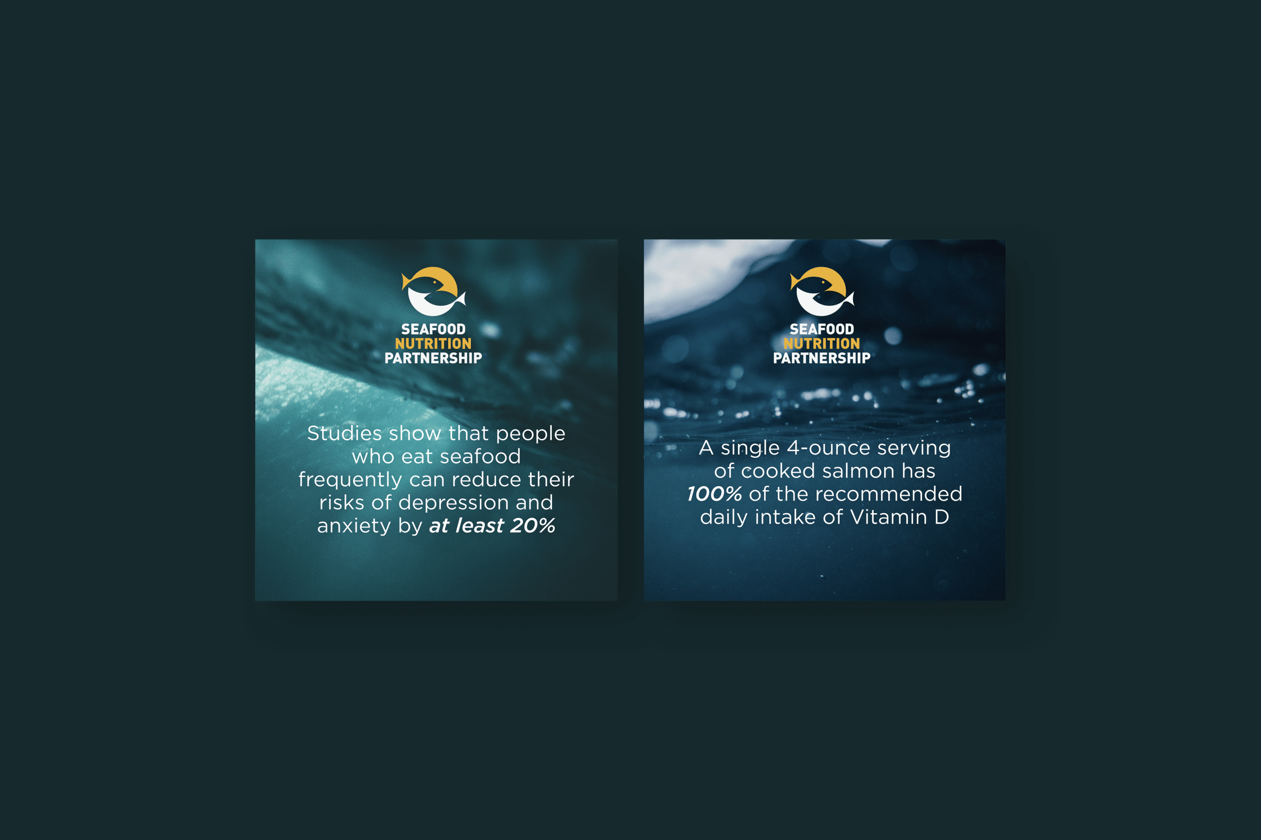 Seafood Nutrition Partnership – COGNAK